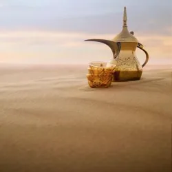 قق ابناء المملكة